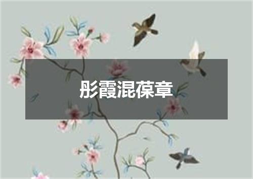 彤霞混葆章