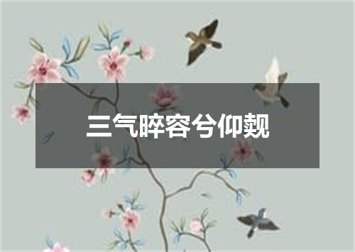 三气晬容兮仰觌