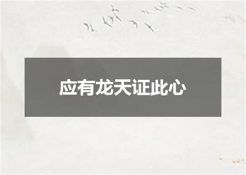 应有龙天证此心