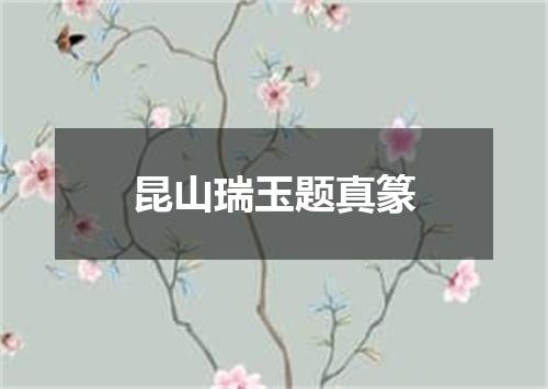 昆山瑞玉题真篆