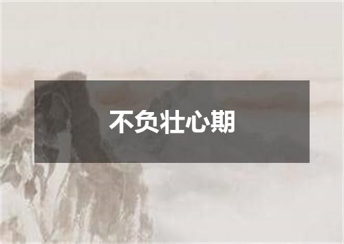 不负壮心期