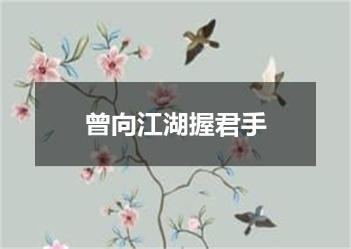 曾向江湖握君手