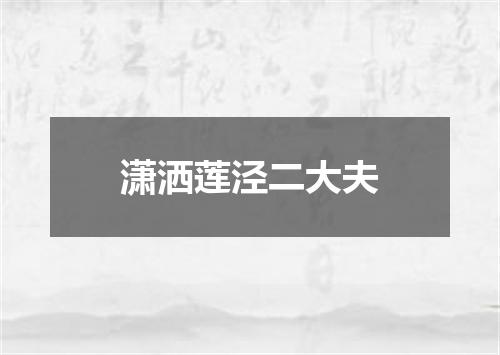 潇洒莲泾二大夫