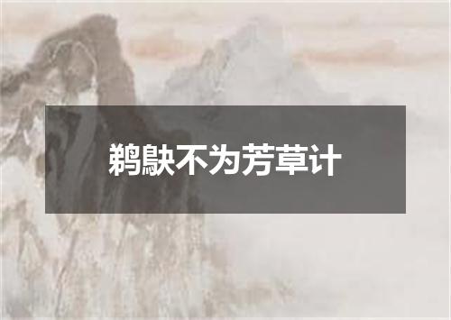 鹈鴃不为芳草计