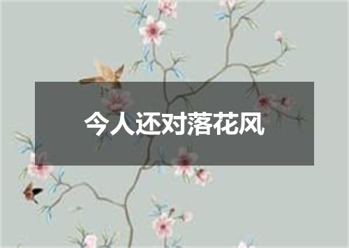 今人还对落花风