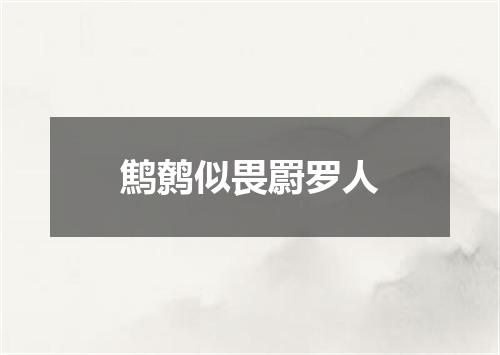 鹪鹩似畏罻罗人