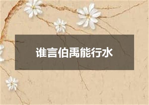 谁言伯禹能行水