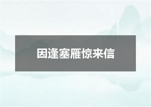 因逢塞雁惊来信