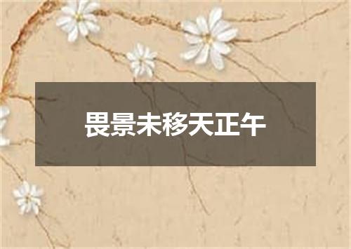 畏景未移天正午
