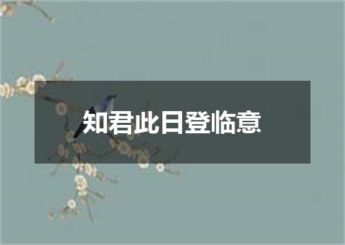 知君此日登临意