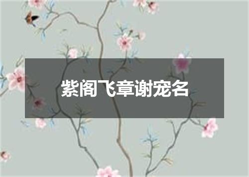 紫阁飞章谢宠名