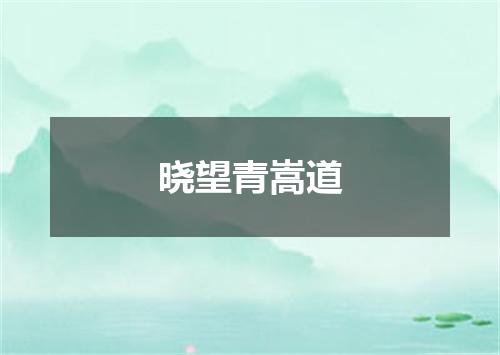 晓望青嵩道