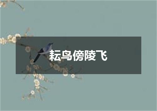 耘鸟傍陵飞