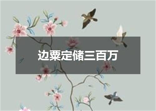 边粟定储三百万