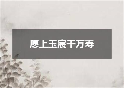 愿上玉宸千万寿