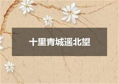 十里青城遥北望