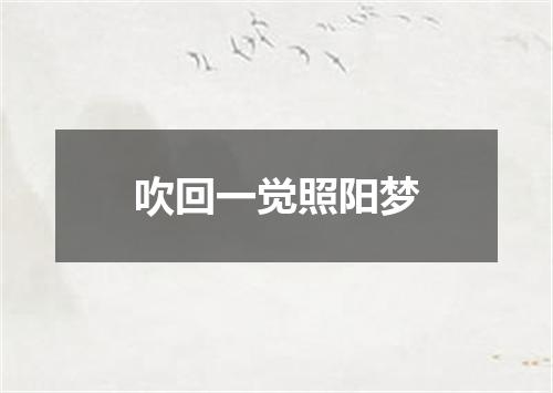 吹回一觉照阳梦