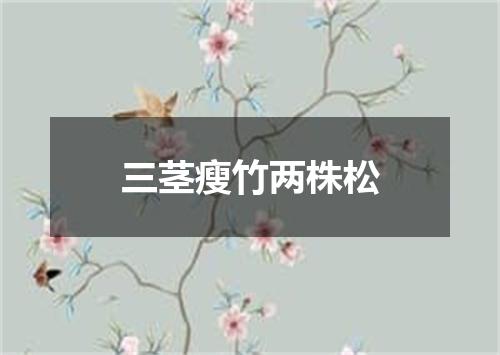 三茎瘦竹两株松