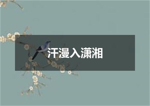 汗漫入潇湘