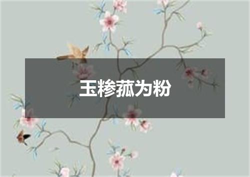 玉糁菰为粉