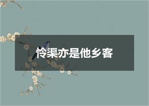 怜渠亦是他乡客