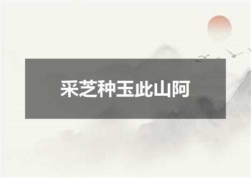 采芝种玉此山阿