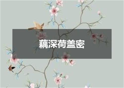 藕深荷盖密