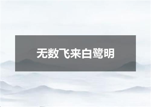 无数飞来白鹭明
