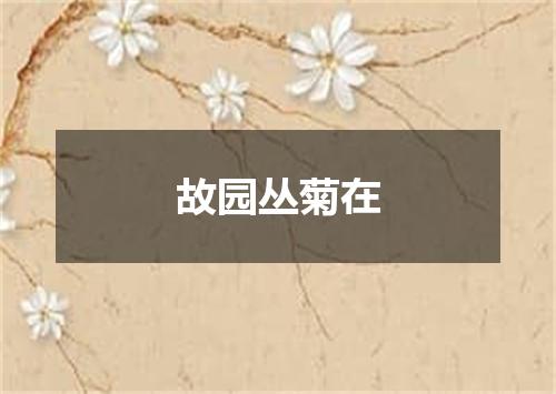 故园丛菊在