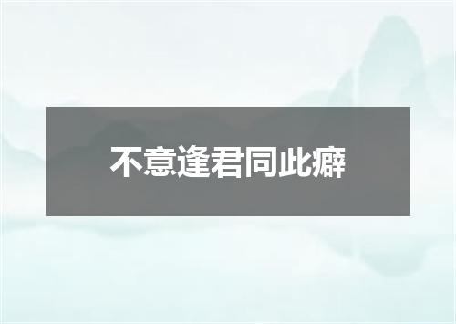 不意逢君同此癖