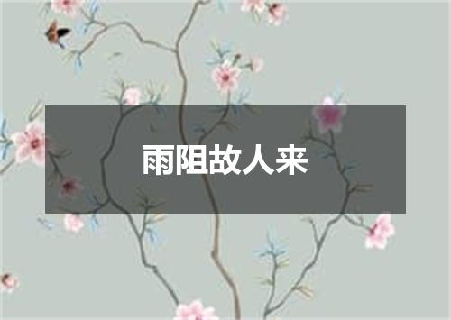雨阻故人来