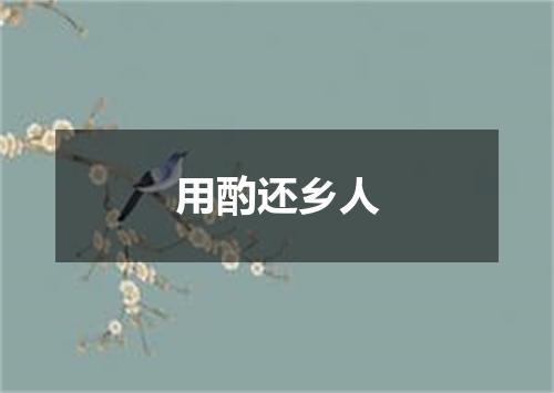 用酌还乡人