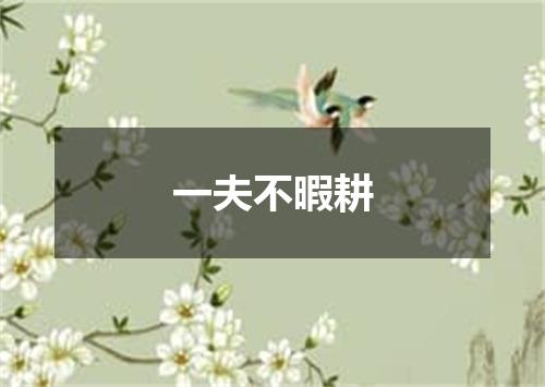 一夫不暇耕