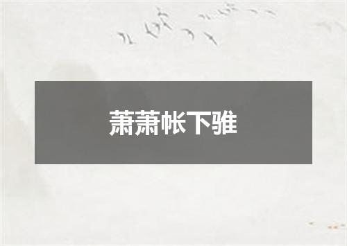 萧萧帐下骓