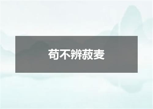苟不辨菽麦