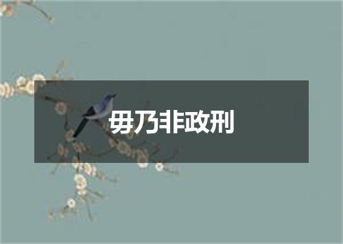 毋乃非政刑