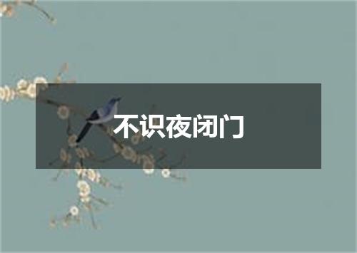 不识夜闭门