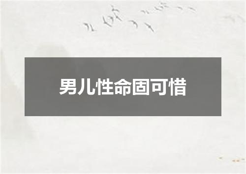 男儿性命固可惜