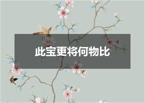 此宝更将何物比