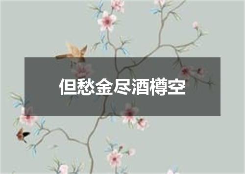 但愁金尽酒樽空