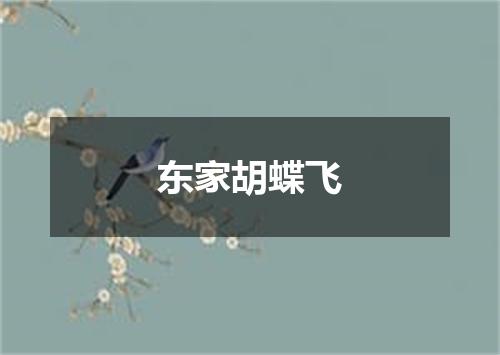 东家胡蝶飞