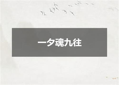 一夕魂九往