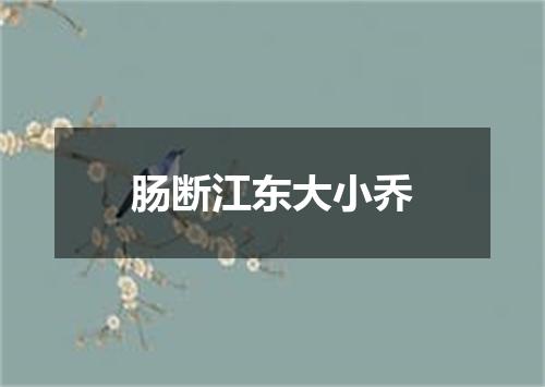 肠断江东大小乔
