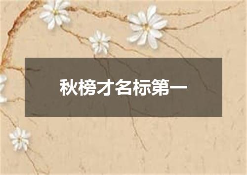 秋榜才名标第一