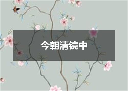 今朝清镜中