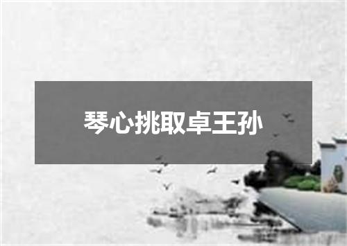 琴心挑取卓王孙