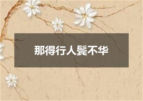 那得行人鬓不华