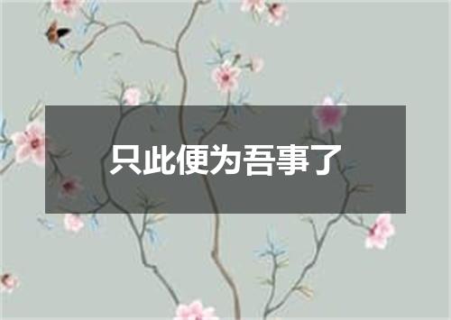 只此便为吾事了