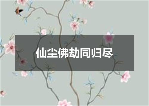 仙尘佛劫同归尽