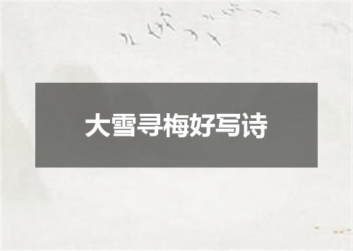 大雪寻梅好写诗